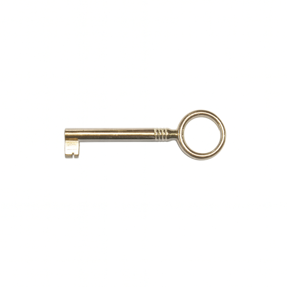 DELETE MLM Bartschlüssel Typ 09 - 40